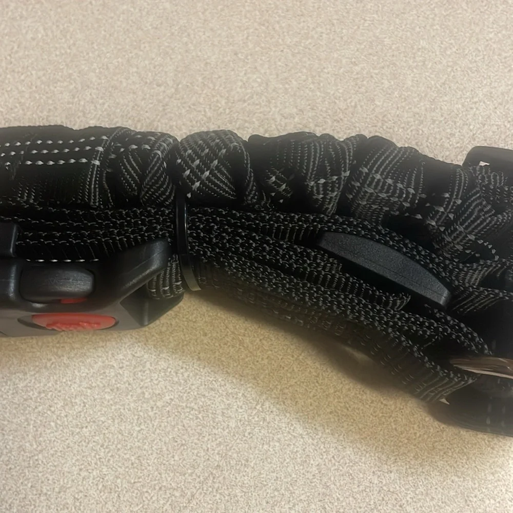 Car seat restraint